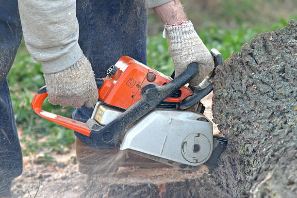 Mulching Services in Charleston, MS